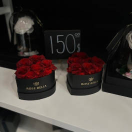 Two black boxes filled with red roses on a shelf