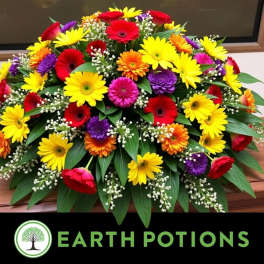 Colorful mixed flower arrangement with gerbera daisies and baby’s breath
