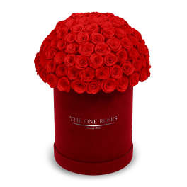 Red roses arranged in a round red box