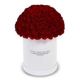 Large dome of red roses in a white hat box