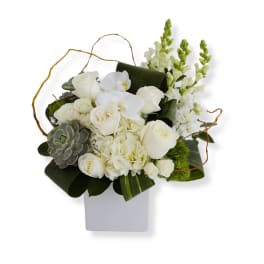 White roses and orchids arranged in a square vase with succulents