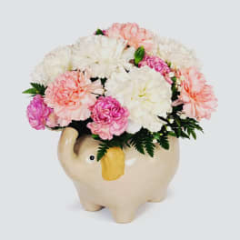 Pastel pink, peach, and white carnations arranged in a cream ceramic elephant container