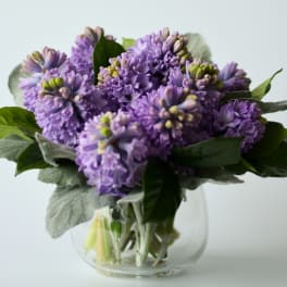 Purple flowers arranged in a clear glass vase
