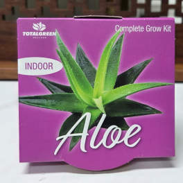 Purple box labeled Aloe with a succulent plant image