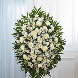 White funeral spray with daisies and roses on a stand