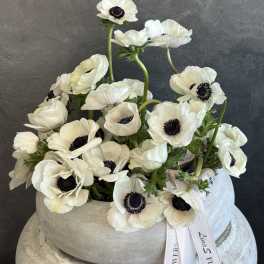 White anemone bouquet in a round ceramic vase with a ribbon