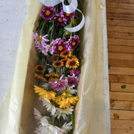 Mixed daisy bouquet in a box with a white ribbon
