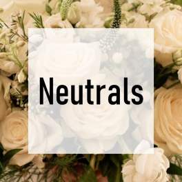 Cluster of cream and white roses with neutral-toned blooms and the word Neutrals overlaid in bold text
