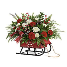 Red and white floral arrangement with evergreens and pinecones in a red sleigh container
