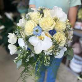 Hand-tied bouquet of cream roses, white orchids, and blue accent flowers with trailing greenery
