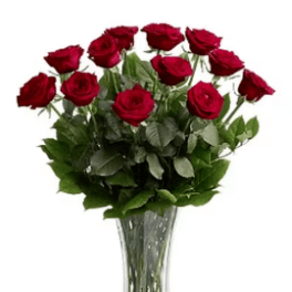 Red roses arranged in a clear glass vase