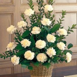 All Carnations Basket