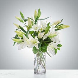 Tall arrangement of white lilies and buds in a clear glass cylinder vase