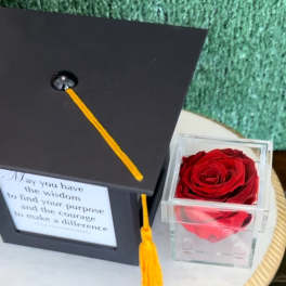 Red rose in a clear cube beside a black graduation cap with gold tassel