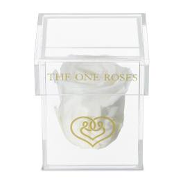 Single white rose in a clear acrylic box