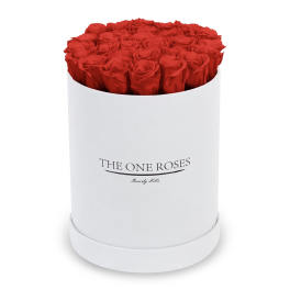 Red roses arranged in a white cylindrical box