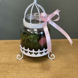 Small terrarium in a white birdcage stand with a pink ribbon
