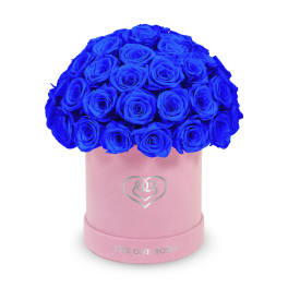 Blue roses in a pink round box