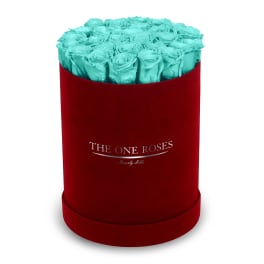 Turquoise roses in a red round box