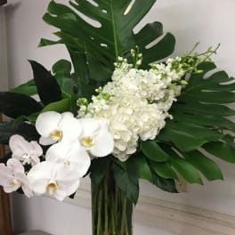 White orchids and hydrangea in a tall glass vase with large tropical leaves