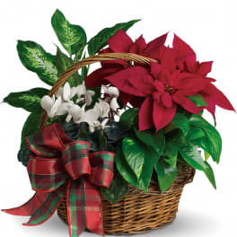 Holiday Homecoming Basket