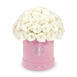 White roses arranged in a pink cylindrical box