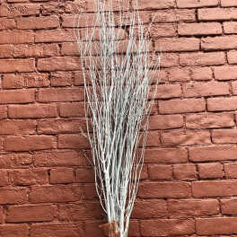 Bundle of tall white decorative branches tied with a brown ribbon