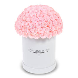 Pink roses arranged in a white round box