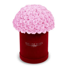 Pink roses arranged in a round red box.