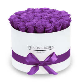 Box of purple roses with a satin ribbon