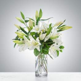 Beautiful white lilys