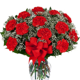 One Dozen Red Carnations