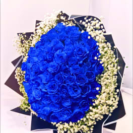 Bouquet of vivid blue roses with white baby's breath