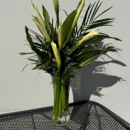 Tall arrangement of pale calla lilies in a clear glass vase