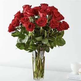 Legacy's Dozen Long Stemmed Roses