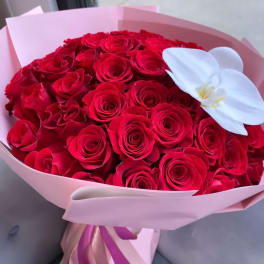Bouquet of red roses with a white orchid accent in pink wrapping