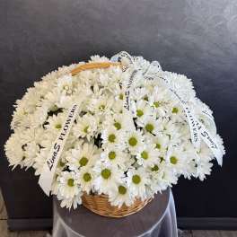 White daisy bouquet in a wicker basket with ribbon bows
