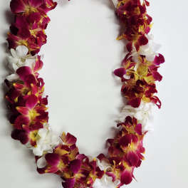 Purple, yellow, and white orchid lei arranged in an oval on a white background.
