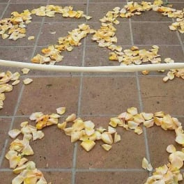 Wedding aisle lined with white chairs and scattered yellow-white petals