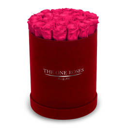 Hot pink roses arranged in a round red box