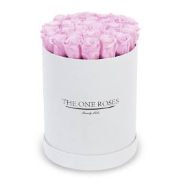 Pink roses arranged in a white round box