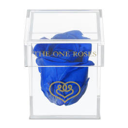 Single blue rose in a clear display box