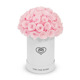 Pink roses arranged in a white cylindrical box