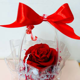 Single red rose in a clear gift container with a large red bow