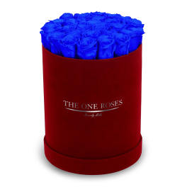 Blue roses in a red round box