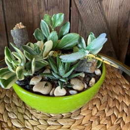 Succulent garden in a bright green bowl with stones and a decorative dragonfly pick