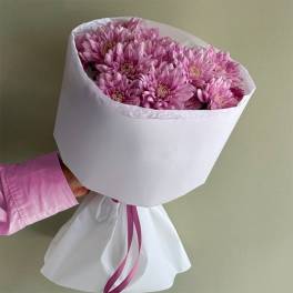 Handheld bouquet of pink chrysanthemums wrapped in white paper with a matching ribbon