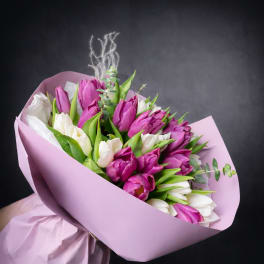Bouquet of pink and white tulips wrapped in lavender paper
