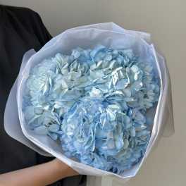 Bouquet of pale blue hydrangeas wrapped in white paper