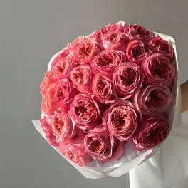Bouquet of pink roses wrapped in white paper